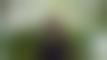 Tales from the wicked Wheast... | Episode 1 