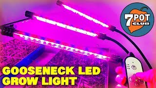 Gooseneck LED Grow Lights for Indoor Hot Pepper Seedlings