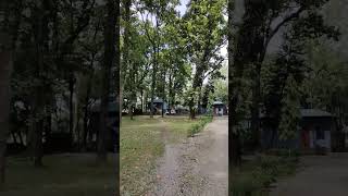 #forest #police #wbp #animal #northeast