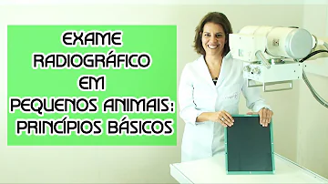 O que é a radiologia veterinária?