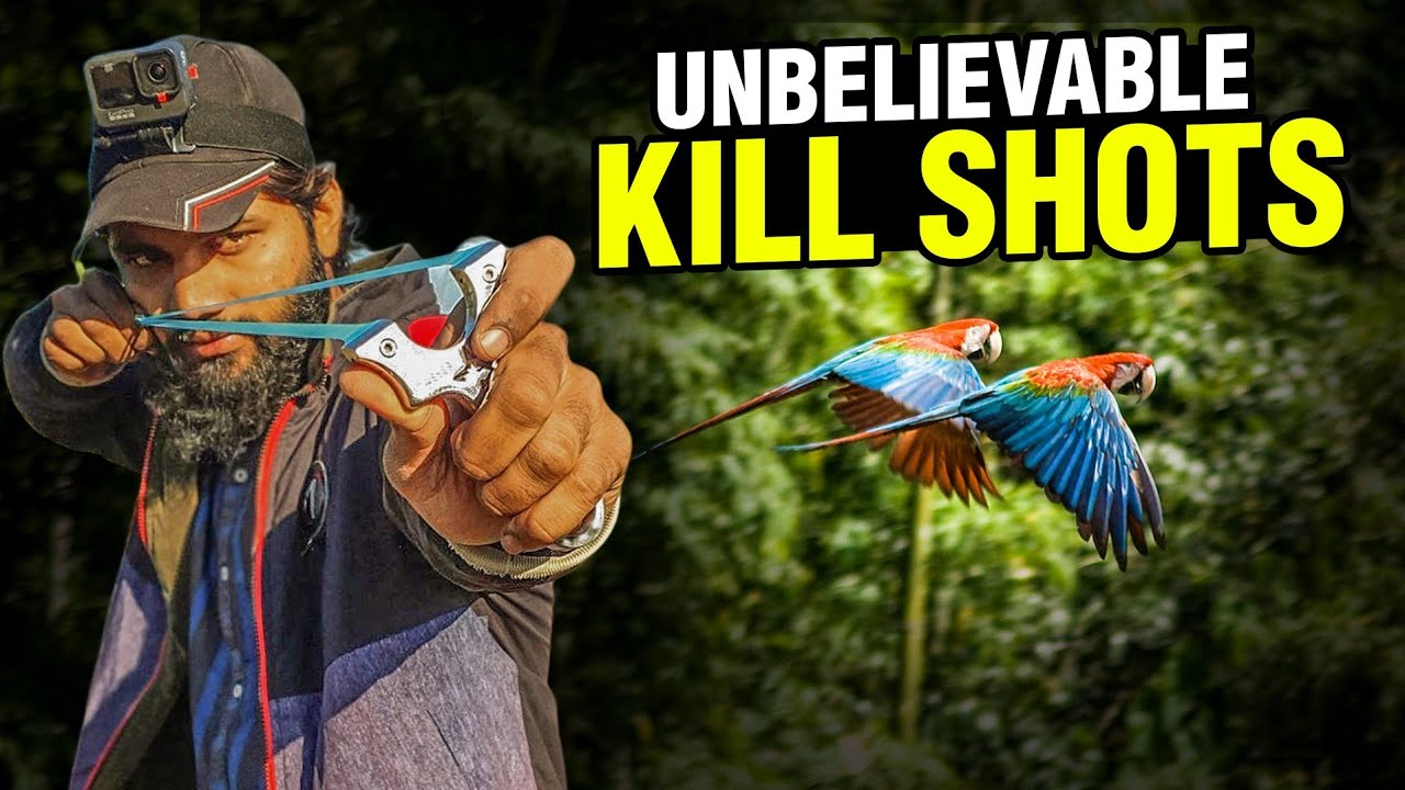 Slingshot Hunting Wild Birds Perfect Kill Shots YouTube Slingshot Hunting Wild Birds Perfect Kill Shots YouTube