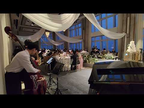 시그니엘서울 웨딩연주 재즈4중주 결혼식연주 Days of wine and roses