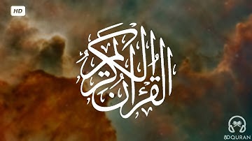 قرآن كريم بصوت مشاري العفاسي || حالات واتس اب دينية || مقاطع دينية قصيرة