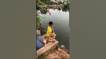 Câu Cá , Xém Chút Nữa Bị Cá Câu Lại | Fishing . #Shorts