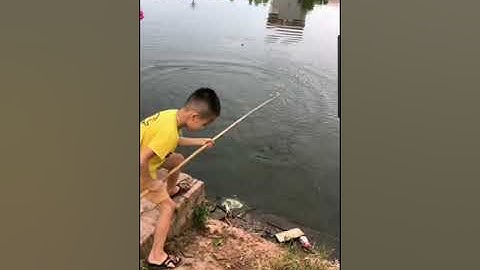 Câu Cá , Xém Chút Nữa Bị Cá Câu Lại | Fishing . #Shorts