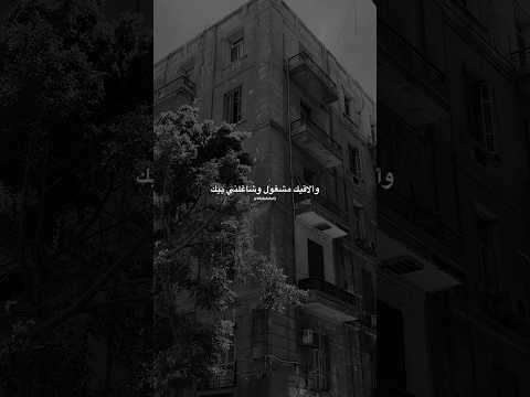 وألاقيك مشغول وشاغلني بيك خالد الصيفي عبدالحليم حافظ اهواك حالات واتس زمن الفن الجميل