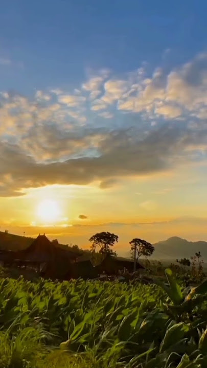 cinematic video pemandangan alam