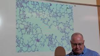 Professor Long 2402 Lab Respirtatory Slides Professor Long 2402 Lab Nasal Cavity And Pharynx
