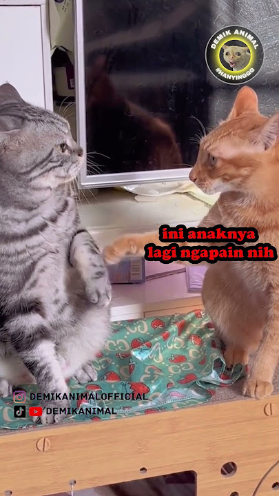 KETIKA MAMA TELPON PAS NONGKRONG #shorts