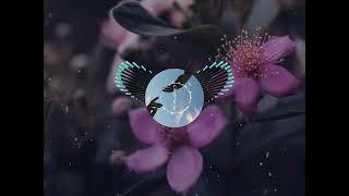 Download Lagu 🎧Chuyện Hoa Sim - Lofi Version (Speed Up) MP3