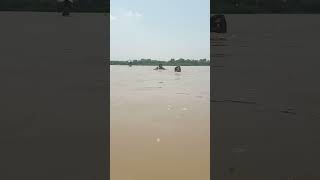 سیلاب کے دوران ہم پانی میں تیرتے ہوئے ویڈیو بنا رہے ہیں