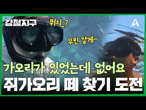 하늘을 나는 <strong>쥐가오리</strong> 떼를 찾아라! 분명 눈앞에서 봤는데 사라져버린 가오리?! | 강철지구 86 회