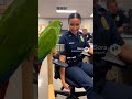 👉 “Talking Parrot Perfectly Explains Office Life 😂” #funny #talkingparrot #comedy #4kvideo