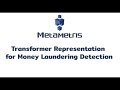 Transformer Representation for Money Laundering Detection