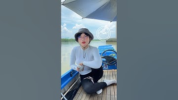 Câu cá ngát dưới chân cầu vượt #fishing #caucathugian #caucachill #caucagiaitri #mayfishing