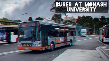 Buses at Monash University - April 2022