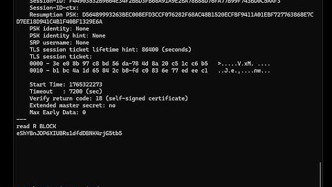 RustNet-main | Fast & Simple Overview
