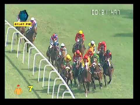 POWERFUL LADY wins The Cardinal Plate