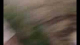 fam  melendez  chivistas    huascato jalisco