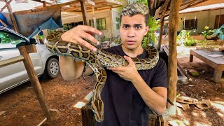 I found the dangerous Snake Village in Thailand.