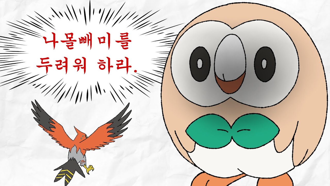 미진화체 파티한테 털리는 자칭 실력파 유튜버 [포켓몬스터]