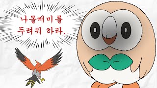 미진화체 파티한테 털리는 자칭 실력파 유튜버 [포켓몬스터]