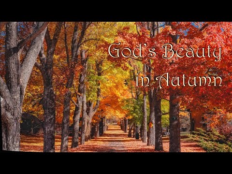 God's Beauty in Autumn