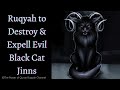 Ultimate Ruqyah To Destroy Expell The Magic Of Black Cat Evil Cat Jinns From Body House Dreams Ultimate Ruqyah To Destroy Expell The Magic Of Black Cat Evil Cat Jinns From Body House Dreams