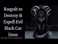 Ultimate Ruqyah to Destroy & Expell the Magic of Black Cat & Evil Cat Jinns from body,house & dreams