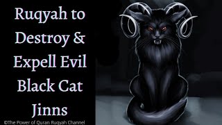 Ultimate Ruqyah to Destroy & Expell the Magic of Black Cat & Evil Cat Jinns from body,house & dreams