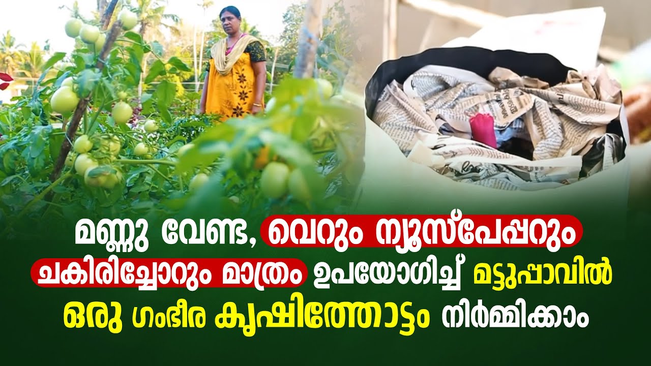 മണ്ണു വേണ്ട വെറും ന്യൂസ്പേപ്പറും ചകിരിച്ചോറും ഉപയോഗിച്ച്‌ മട്ടുപ്പാവിൽ ഒരു കൃഷിത്തോട്ടം നിർമ്മിക്കാം