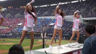 150514 NC다이노스 치어리더 (잠실) 01