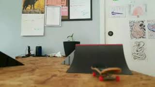 Tech Deck Finger Skateboard Stop Motion