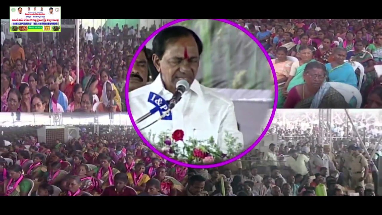 Oil palm 🌴 song. Balka Suman MLA, Govt Whip-Telangana State...