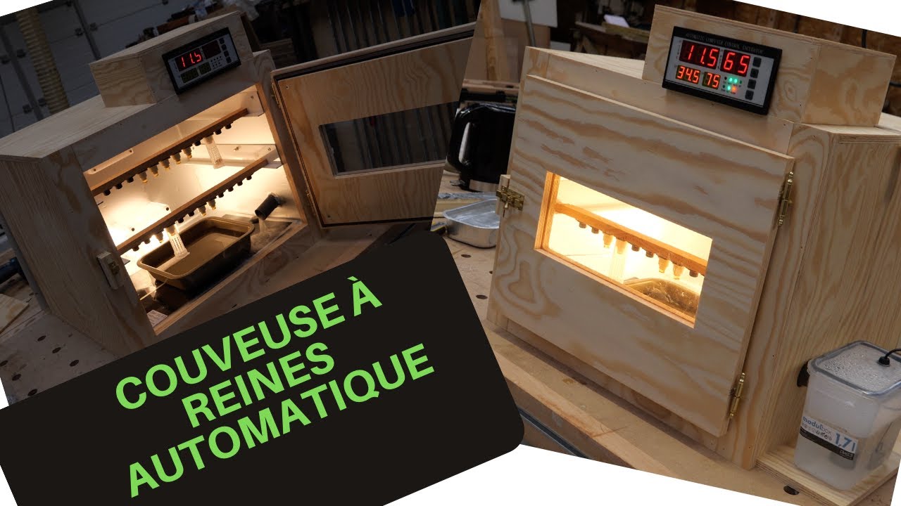 fabrication d'une couveuse à reines