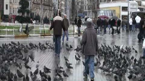 Autism: Sensory overload