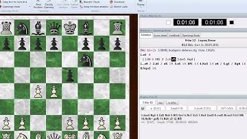 Fritz13 - a basic first look