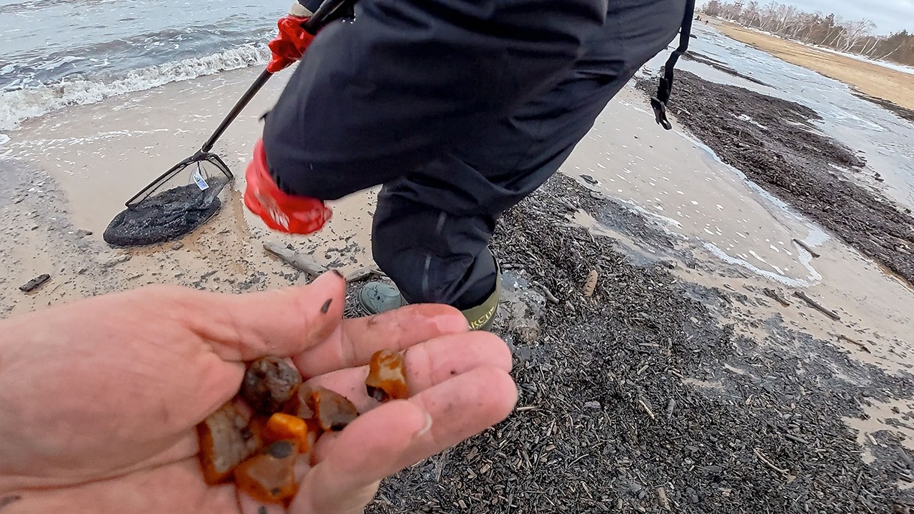 🎬 🌊 Refulacja w Górkach Zachodnich trwa! Czy To Bursztynowe Żniwa?! 💎😱