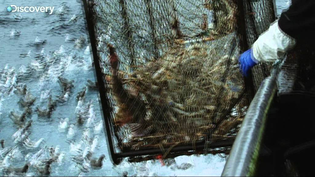 Blue Crab Bounty Deadliest Catch Ep2 New Series Sneak Peek YouTube