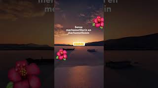 #shorts #short #shortvideo #ytshorts #youtubeshorts #viral #keşfet #keşfetedüş #amin #allah #dua #yt