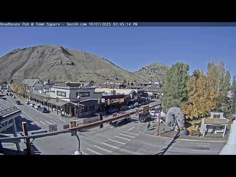 Jackson Trading Company, Million Dollar Cowboy Bar Live Stream