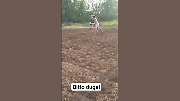 Bitto Dugal Best Stop In Gondlwalal Kabbadi Match Newsong Motivation 