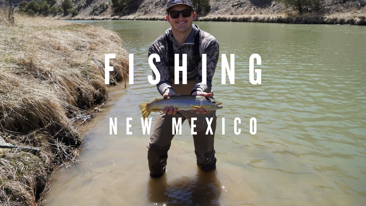 COVID Fishing New Mexico YouTube