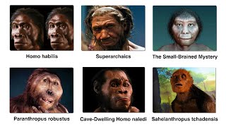 Strangest Human Ancestors You Never Know Explained