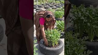 एक महिला पुराने टायरों का उपयोग करके बहुत ही शानदार #EcoFriendly #RecyclingIdeas