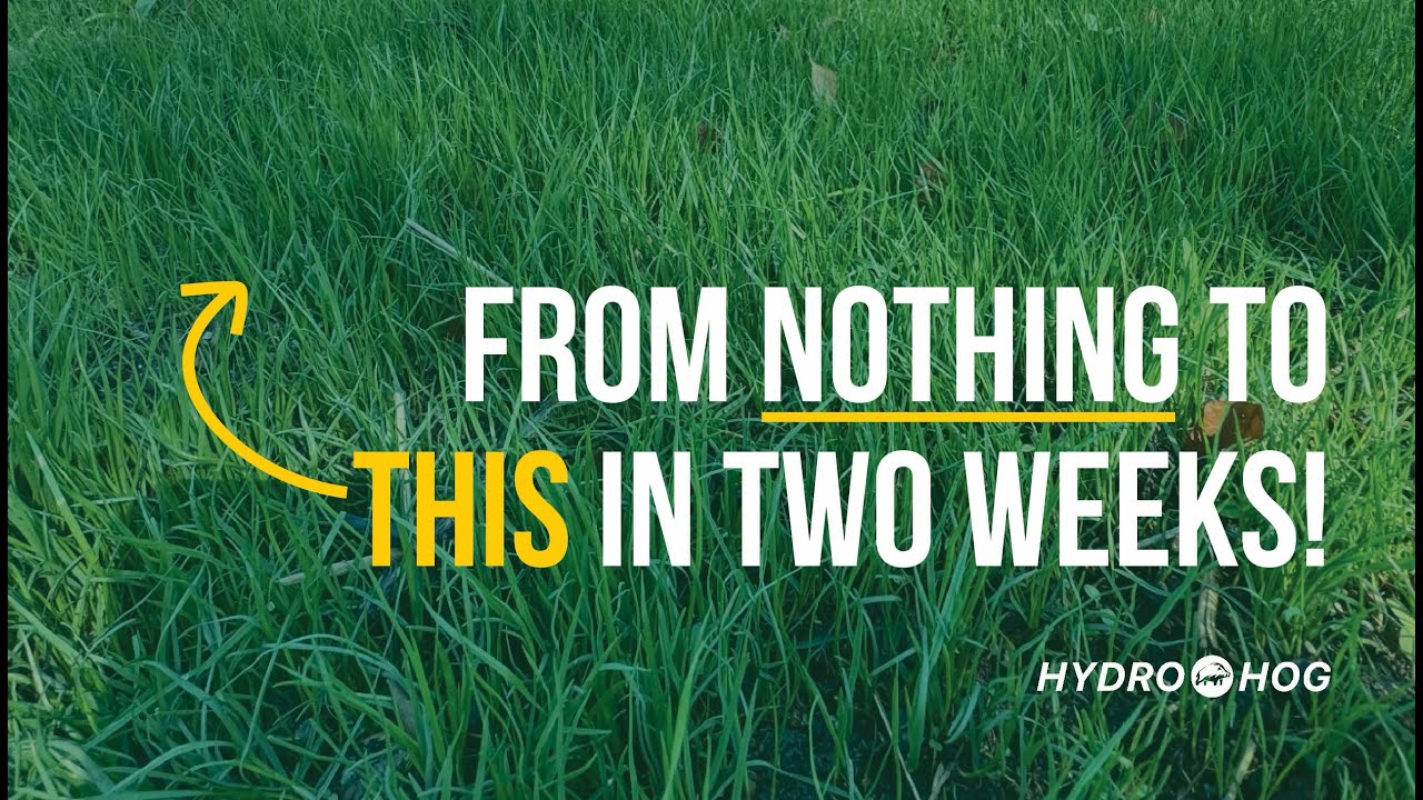 Hydroseed for CRAZY results!