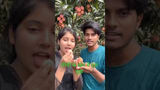 #reeltech लीची के खेत में घुस चुके हैं#youtubealternative #technicalguruji