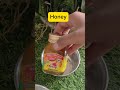 💯 Openpores/ Whiteheads Remove Homeremedy ll #ytshorts #beautytips #skincare #trending #viralvideo