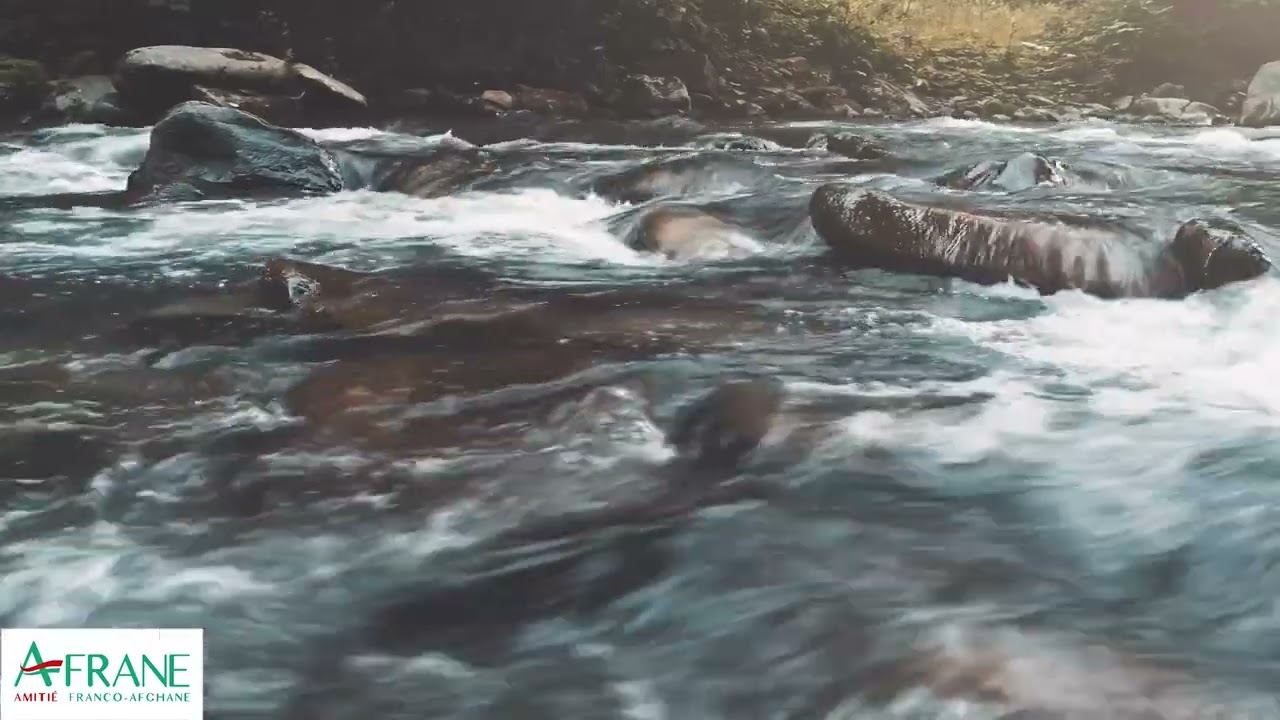 دوران آب (روانات سطحی آب)   Surface runoff