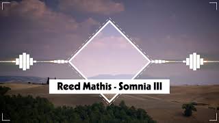 Reed Mathis - Somnia III (No Copyright Music)